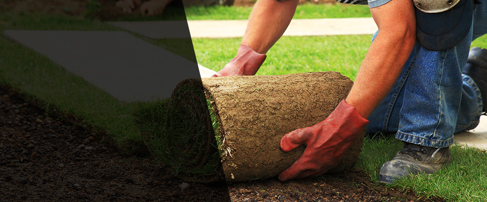 Juneau Landscapers
